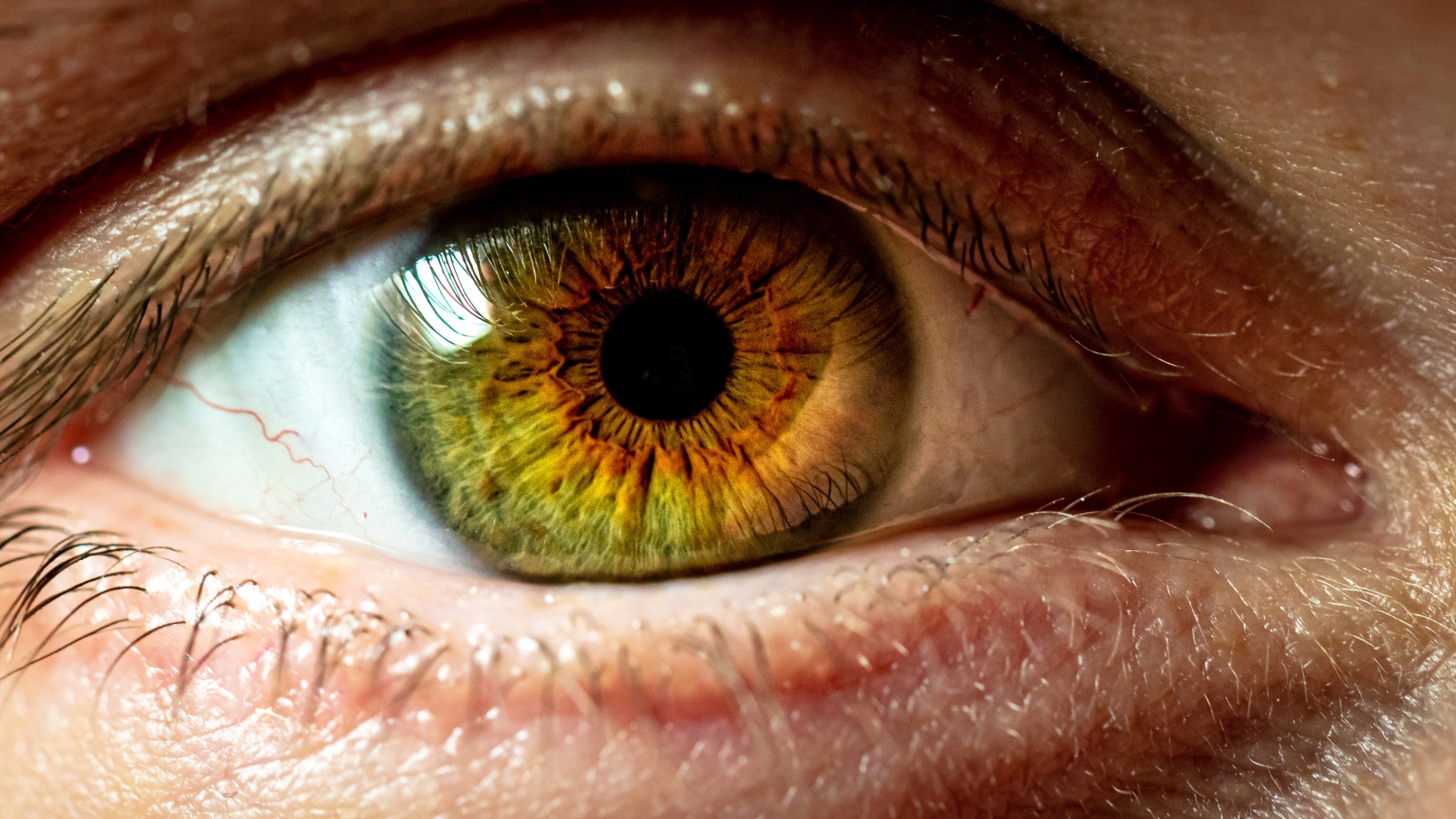 Computer Visual Technologies